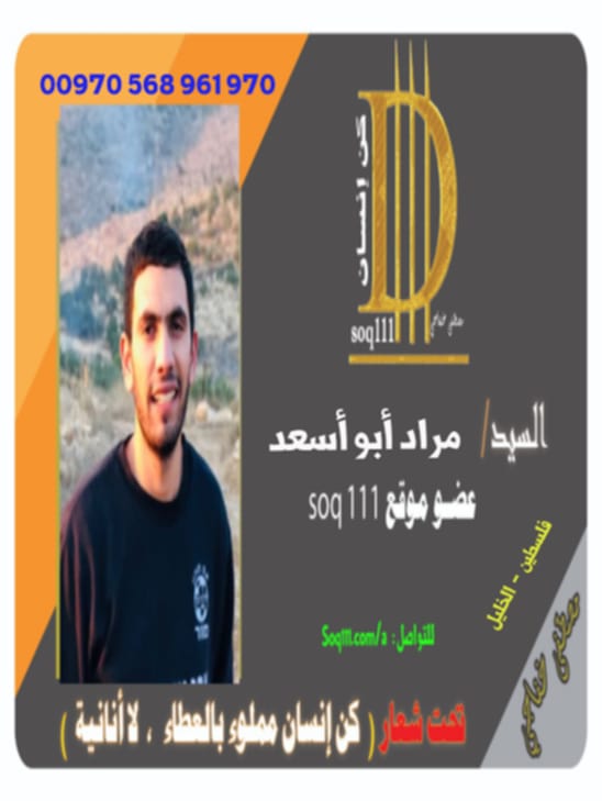 معرض الصور